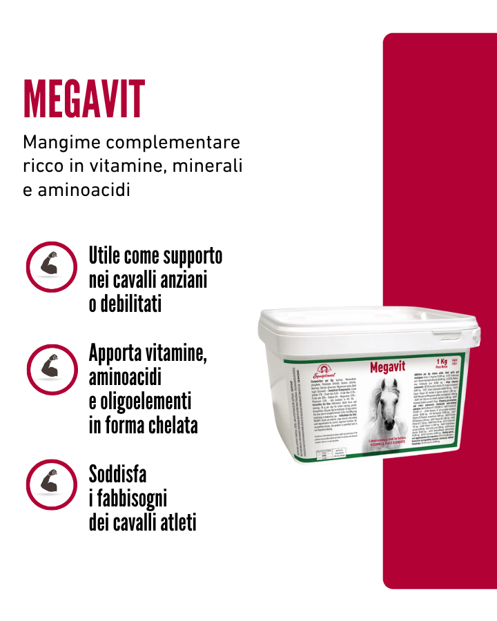 Megavit